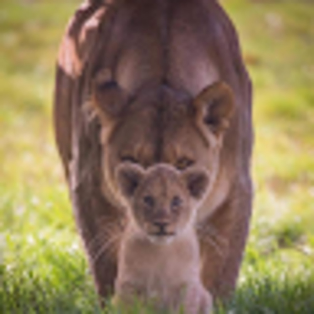 Meet your Posher, Sharon